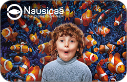 Nausicaa : Entrée Enfant