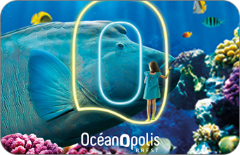 Oceanopolis : Une entrée Enfant