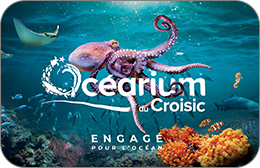Océarium du Croisic : Entrée Enfant