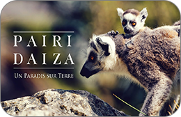 Pairi Daiza : Entrée Adulte