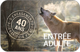 Parc Animalier de Sainte-Croix : Entrée Adulte