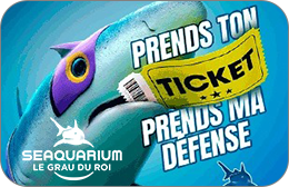 Seaquarium : Billet Adulte