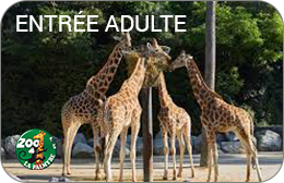 Zoo de La Palmyre : Billet adulte