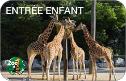 Zoo de La Palmyre : Billet enfant